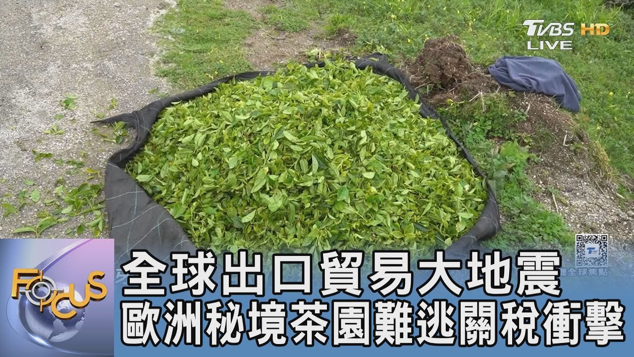 全球出口貿易大地震 歐洲秘境茶園難逃關稅衝擊