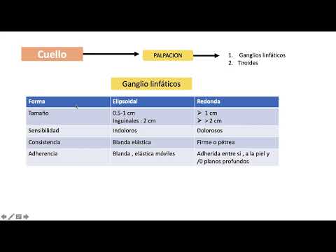 SEMIOLOGÍA 14  EXAMEN DE CABEZA Y CUELLO 2