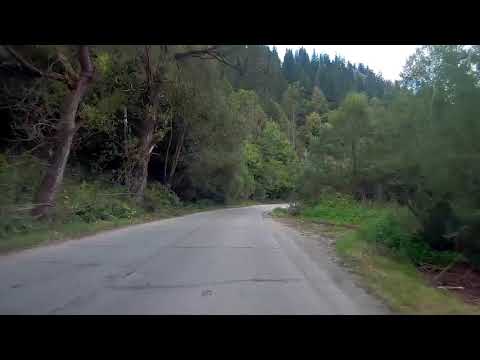 Pe Valea Bistriței, între Vatra Dornei  și Poiana Largului.