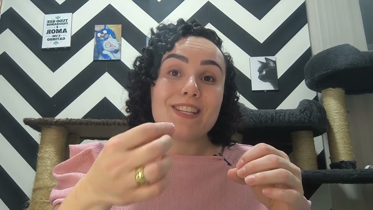 Banho em gatos: dar ou não dar? Vet especializada em felinos explica