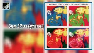 Music video thumbnail preview for Sex Pussyface by The Teardrop Explodes by The Teardrop Explodes
