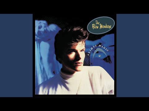 Superfly - The Blow Monkeys