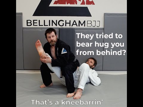 Rear Bear Hug Defense (Under the Arms)