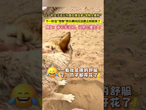 上一秒女子還以為是在摸自家