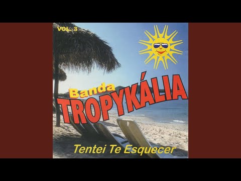 Você Errou Mais do Que Eu / Carinho Safado