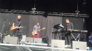 Tiger Lou - Leap of Love, Live @ Popaganda 2016