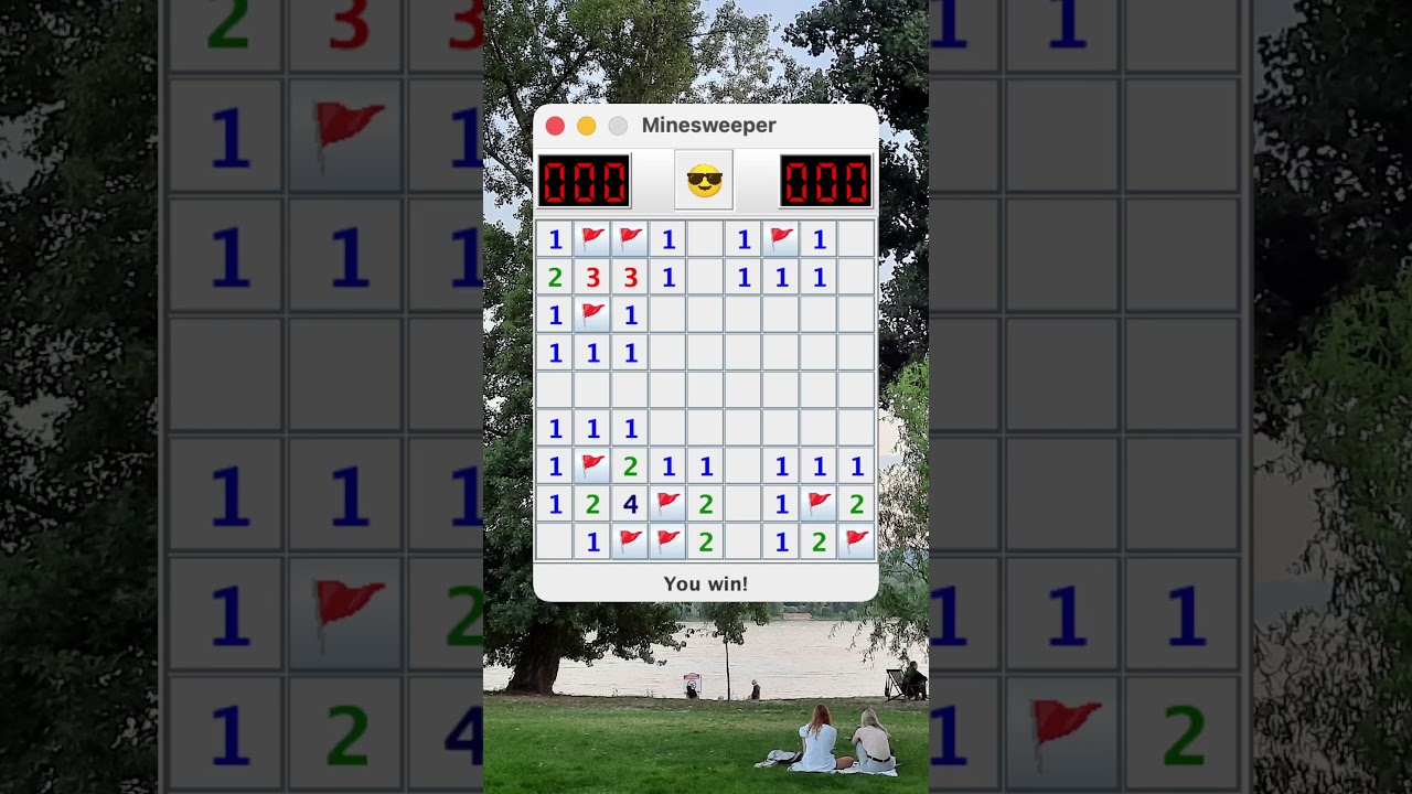 Minesweeper AI Solver