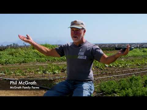 download lagu mp3 mp4 Phil Mcgrath, download lagu Phil Mcgrath gratis, unduh video klip Phil Mcgrath