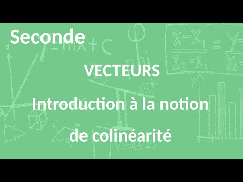 Seconde - Vecteurs - Introduction à la colinéarité de vecteurs