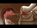 The Ratatouille Trailer But Every Rat Increases The Bass By 6db And Also Adds Distortion