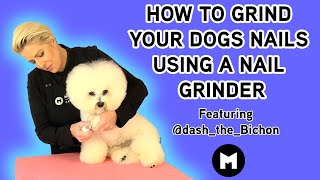 How to grind your dogs nails using a nail grinder