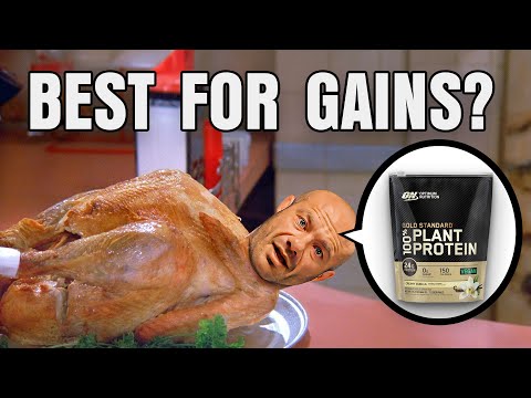 How To Choose The Best Quality Proteins For Muscle Gains
