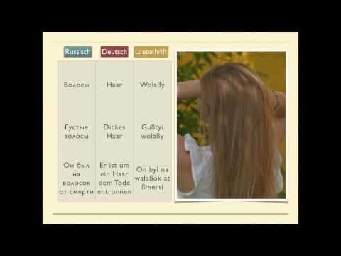 Russisch lernen mit Spaß - Wortschatz zum Thema "Mein Körper" - Russisch-Erleben.de