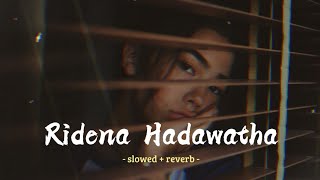 Ridena Hadawatha  රිදෙනා හදවත 
