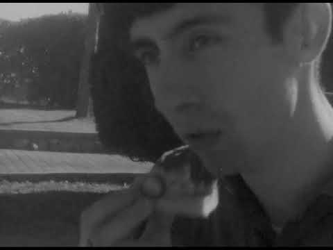 Fragile Gang - I Love All My Friends (Official Video)