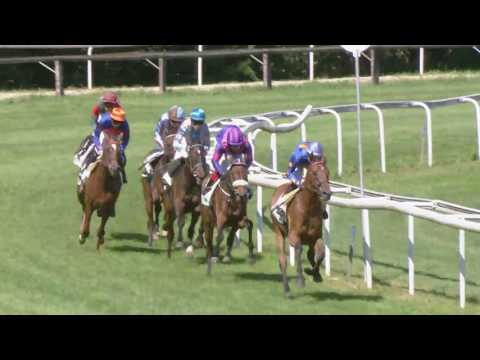 Dielsdorf/18.06.2017/Silberblaues Band von Zurich - Grosser Preis der Horse Park Zurich-Dielsdorf AG