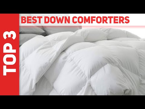 Top 3 Best Down Comforters 2023 [The Best Down Comforters]