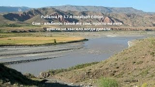 Как ловить сома альбиноса