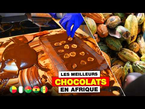 Les Pays Africains Produisant les Meilleurs Chocolats