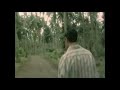 Walter Wanderley - Rain