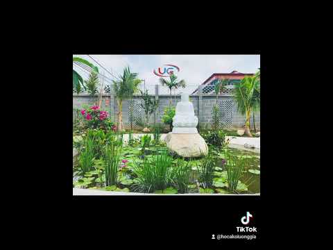 Thiết kế thi công hồ Koi- Cảnh quan sân vườn tại Vĩnh Cửu