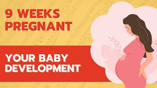 9 Weeks Pregnant | Your Baby Development | #pregnancy
