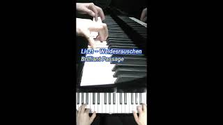 Download lagu きらめくピアノパッセージ｜リスト《森のささやき》🌿 Liszt – Waldesrauschen | Piano mp3