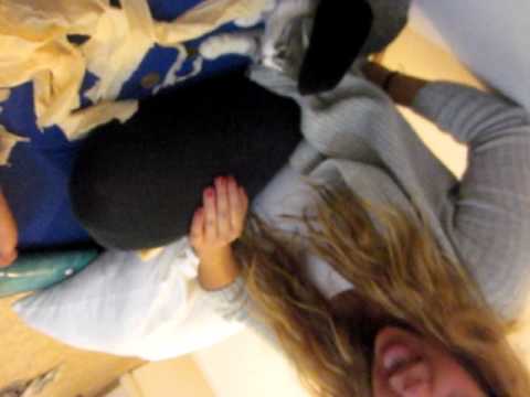 Jerry the Kippah Cat