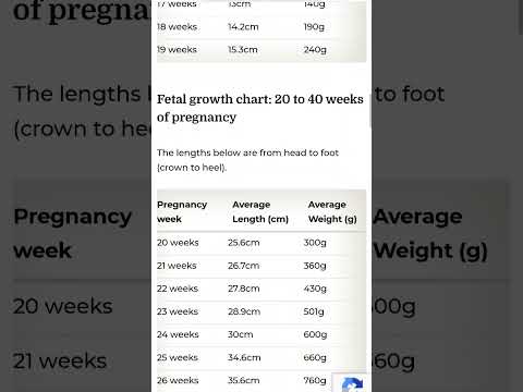pregnancy Baby weight week by week chart 8-40(weeks) #viral #pregnancy #women #pregnancytips