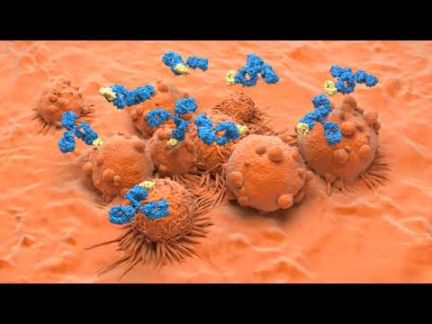 Epic Battle:  Immune Cells vs  Virus