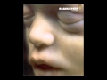 Rammstein Sonne Pitch Changed