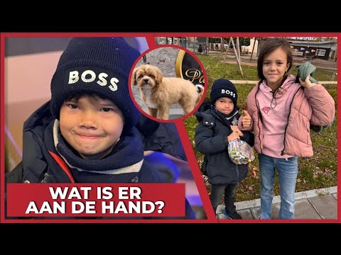 WAT IS ER ALLEMAAL AAN DE HAND?! - #1912