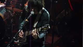 Wild Flag - Racehorse