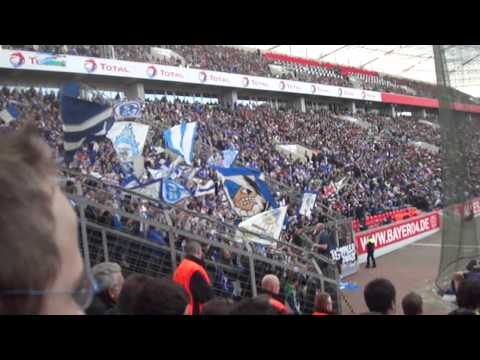 "Der Mythos vom Schalker Markt" Schalke Fans in Leverkusen