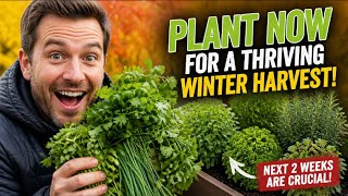 Which Fall Herbs Should You PLANT NOW for a THRIVING Winter Harvest? 🌿