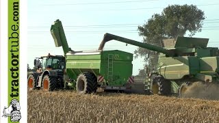 Новый бункер-перегрузчик зерна G&uuml;stower GTU 21 | Изображение 4 - Agroline