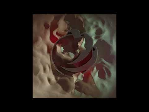 Polygonia - Division