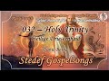 032 HOLY TRINITY DANIE BOTHA STEDEF GOSPELSONGS