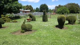 preview picture of video 'Railton Topiary (No Audio)'
