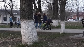 Парк Live. Милие Дамы с 8 Марта
