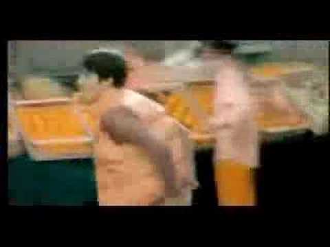 Star Academy - L'orange