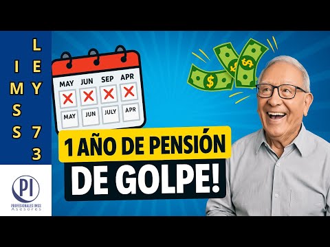 The IMSS can pay you up to 1 YEAR of pension AT ONCE
