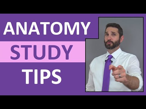Anatomy Study Tips: How to Pass Anatomy and Physiology Class