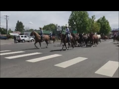 Matt at the Joseph rodeo