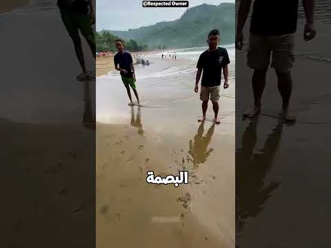 افتكروا الأثر لبيج فوت أو جودزيلا! 😂👣