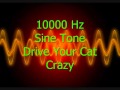 10000 Hz Sine tone - Drive your cat crazy