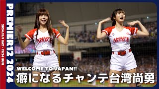 祝🎉台湾、東京ラウンド進出。癖になるチャンテ台灣尚勇で盛り上がろう📣 CT AMAZE 臺北大巨蛋 24/11/17【台湾チアTV】