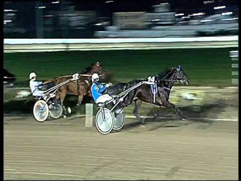 Trotto 17/12/2015 - 8° corsa - TRIS