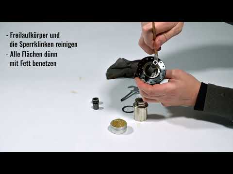 Freilaufkörper bei einer Novatec D042SB Nabe warten