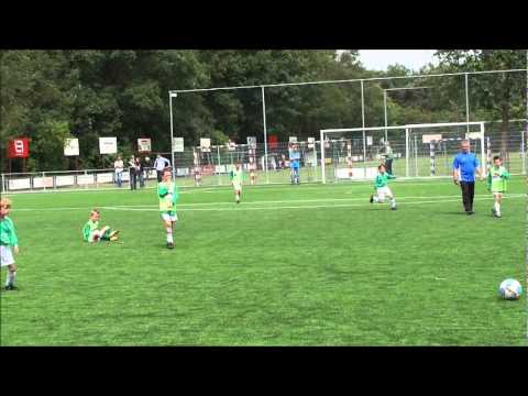 BAronie f6 boavel 2011